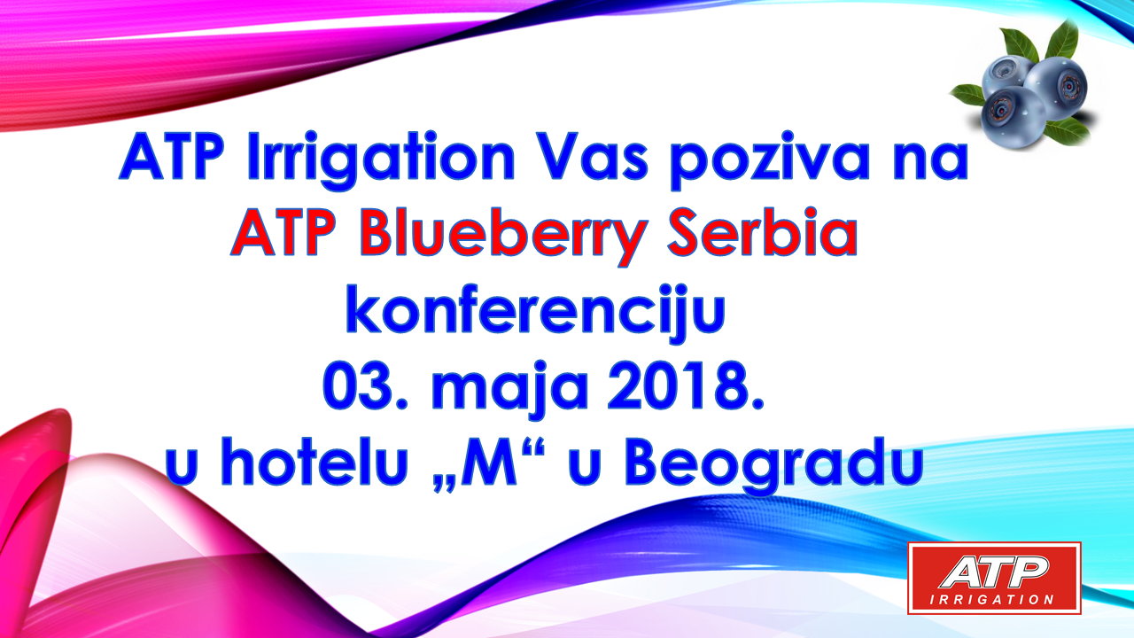 Blueberry Srbija