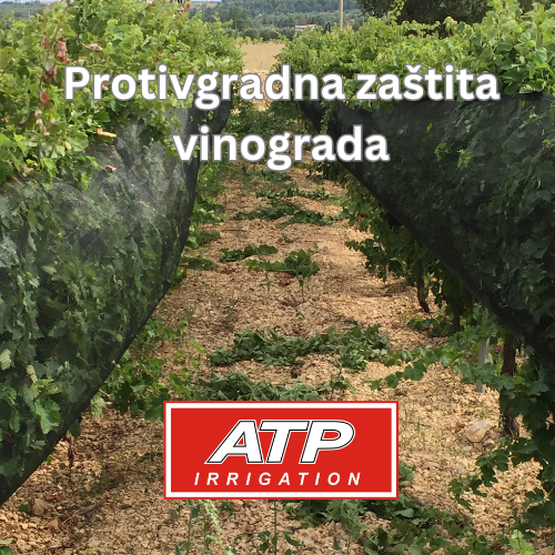 PROTIVRADNA ZAŠTITA VINOGRADA