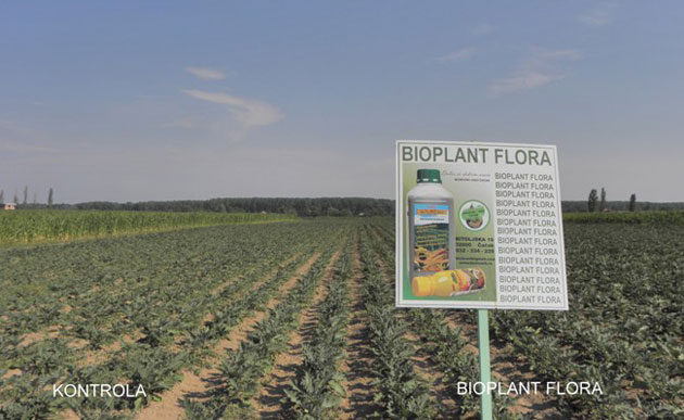 bioplant flora